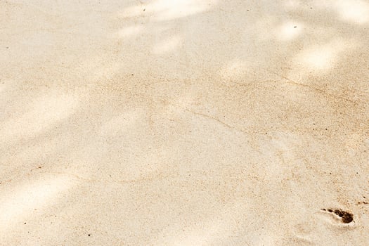 Pristine Beach Sand with Subtle Textures Untouched fine sandy beach with delicate shadows and soft textures, punctuated by single footprint, invoking sense of solitude and serene beauty of nature. photo