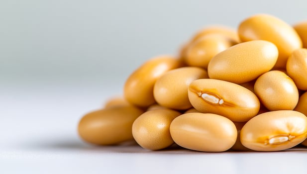 Soya beans arranged on a light surface. Yellow soya beans are neatly piled on a light surface, showcasing their smooth texture and vibrant color. photo