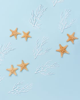 Summer nautic flat lay with sea stars and white coral on blue background. Theme of sea life. photo