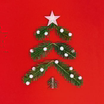Creative Christmas pattern with green Christmas tree and snow, New Year composition. Minimal flat lay. photo