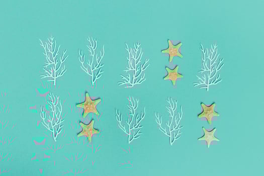 Summer pattern with star fishes and white coral. Marine or nautical theme photo