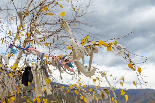 Ritual ribbons on branches sacred tree in Altai mountains against clouds. View along Chuysky tract, Altai Republic photo