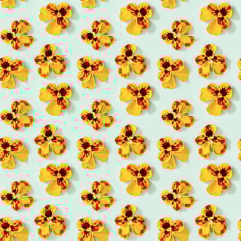 Seamless pattern with natural blossom flowers heartsease. Small bright blooming buds of flowers pansy. photo