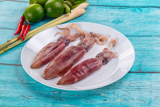 Three squid on a white plate with lime and green onions photo