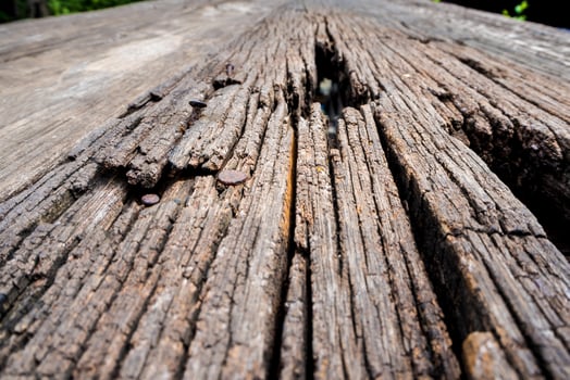 The Abstract texture on surface of old wooden board photo