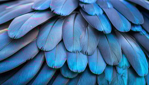 Captivating Blue Feathers of a Bird Displaying Intricate Texture and Vibrant Colors on a Close-Up Shot in Natural Light photo
