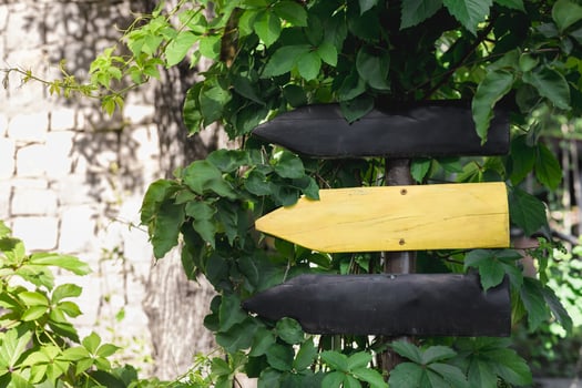 Colorful wooden signpost surrounded by green foliage in a serene outdoor setting. photo