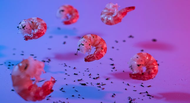 Delicious Shrimps Levitating on a Blue and Purple Background, a Seafood Delight. photo