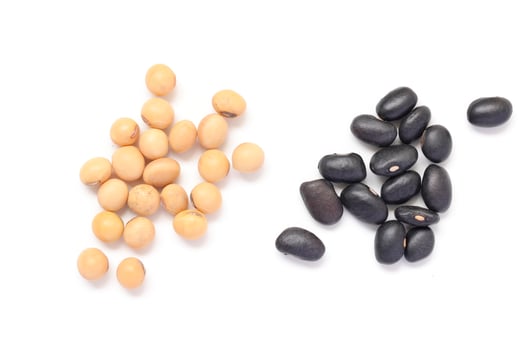 Soybean with black beans on white background photo
