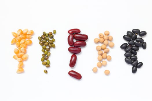 Top view of beans seeds, various types of beans and beans on white background photo