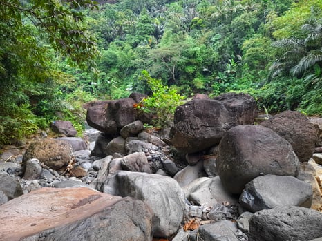 Large natural boulders scattered in a rocky riverbed surrounded by dense tropical forest, showcasing raw geological formations in a lush jungle environment photo