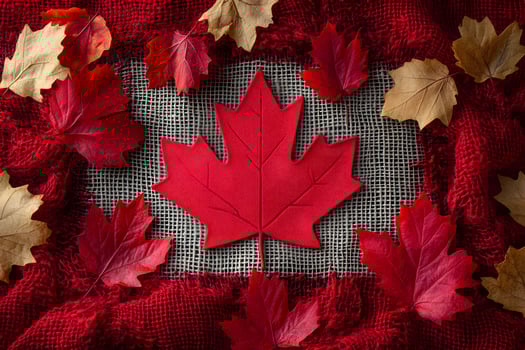 Autumn Maple Leaf Arrangement on Burlap - Perfect for Seasonal Decor and Canadian Themes photo