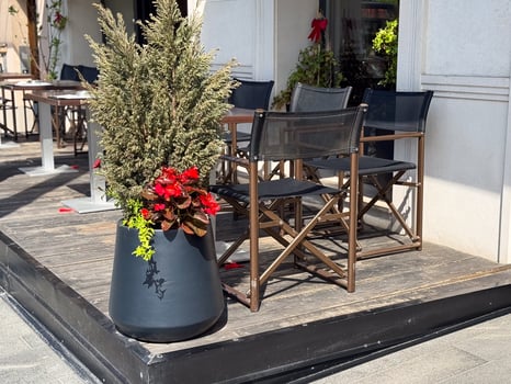 Outdoor seating on wooden terrace with planter. Black pot with evergreen and red flowers next to metal-framed chairs photo