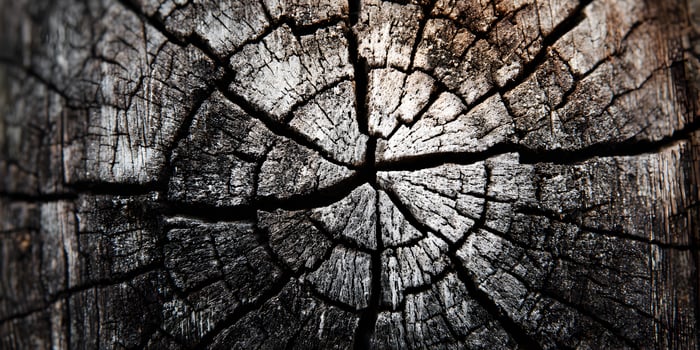 Closeup Dark Cracked Wood Texture Tree Stump Cross Section photo