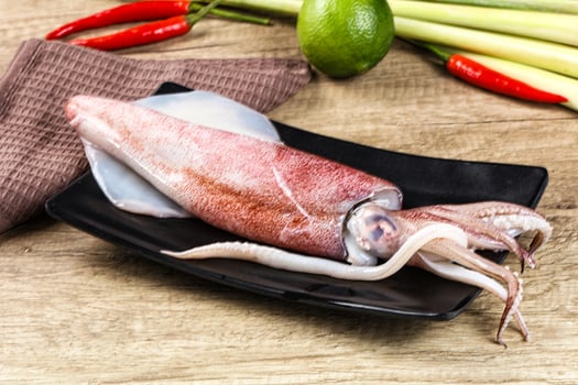 A squid is sitting on a plate with some other vegetables photo