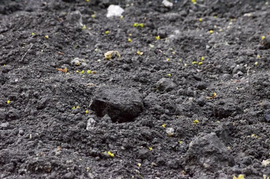 A black dirt field with a small rock in the middle. The dirt is dry and rocky photo