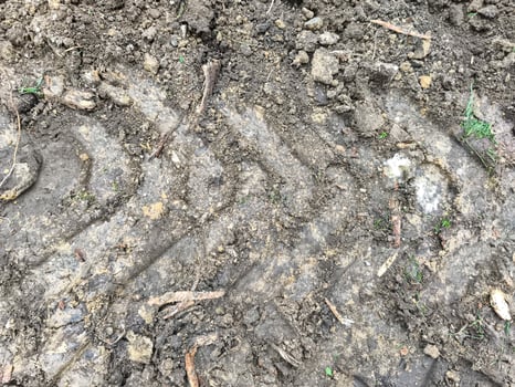 A tire track is shown in the dirt, with a few leaves scattered around. Scene is somewhat somber, as the tire track is a reminder of the passage of time and the wear and tear of the earth photo