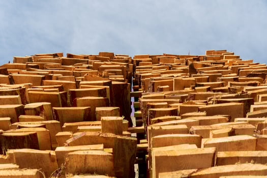 Stacks of freshly cut wooden planks sit in the sunlight at a sawmill, showcasing their rich textures and unique characteristics photo