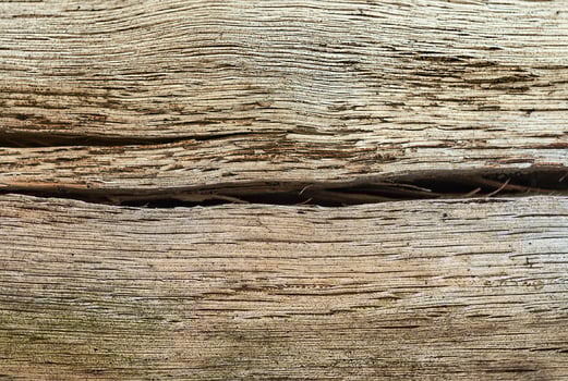 Dry oak wood with a crack photo
