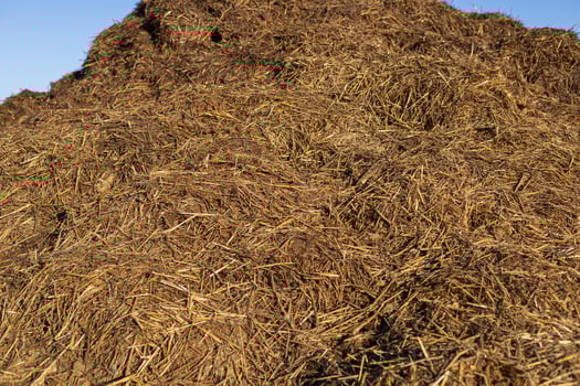 A large mound of dark brown organic material sits under the clear blue sky, reflecting the hard work of agricultural activities in rural areas photo