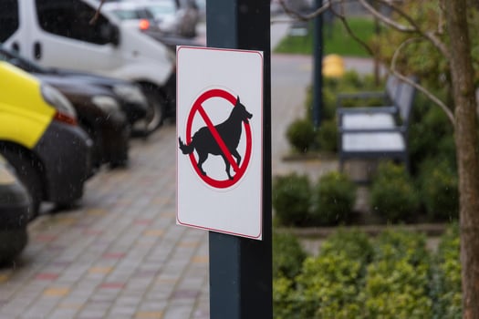 A warning sign prohibits dogs in the park, emphasizing rules about pet excrement in an outdoor setting with greenery and vehicles photo