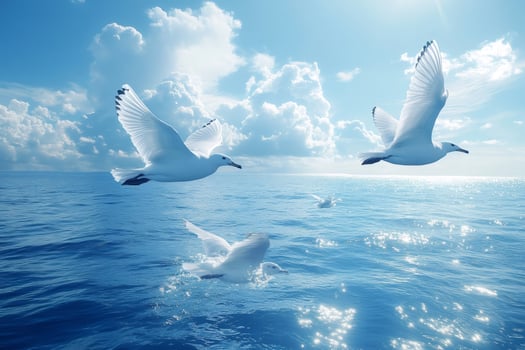 Seagulls flying over the ocean on a sunny day photo