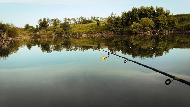 a small lake with trees in the background. photo