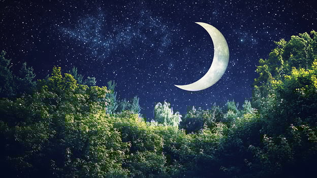 Crescent Moon over Lush Forest at Night. A serene image of nature's beauty under the starry sky. photo
