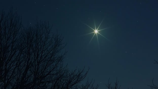 Bright Star Shining in the Night Sky Over Silhouetted Trees. photo