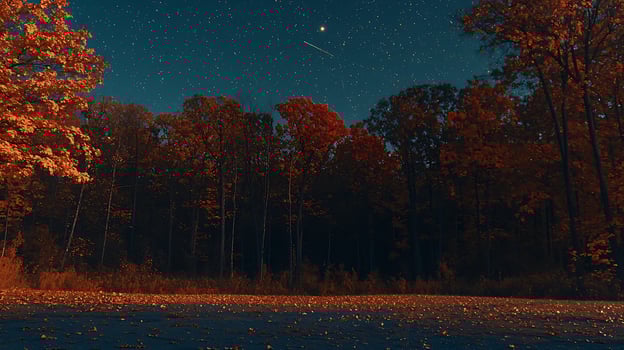 Autumn Night Forest Scene Starry Sky over Red and Orange Trees. photo