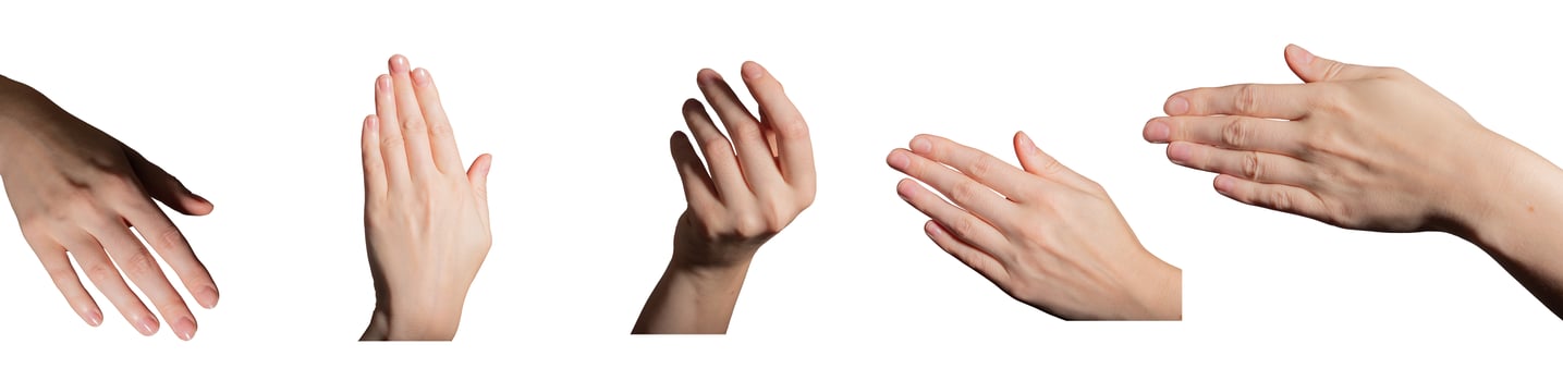 Hand pose set. Female fingers neat, groomed, slightly curved or stretched showing natural beauty, photo