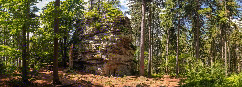 rock in the forest - natural monument Lisovska Rock, Zdarske vrchy in Vysocina, Czech Republic photo