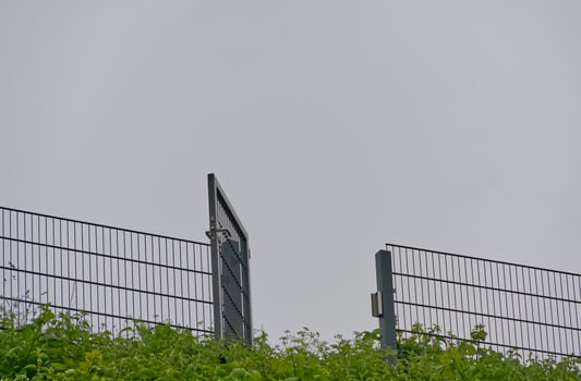 A garden gate stands open between metal bars with green plants against a grey sky as a background photo