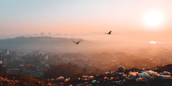 Sunrise over Cityscape with Birds Flying near Landfill photo