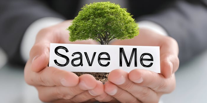 save me tree in hands photo