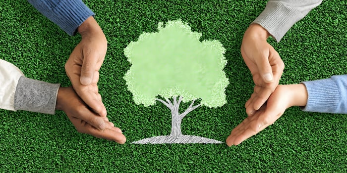Three Diverse Hands Protecting a Drawn Tree on Green Grass Environmental Conservation Teamwork Concept photo
