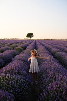 Peaceful childhood moment in lavender field, warm wind and sunset light. photo