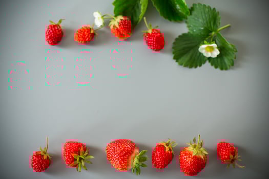 Bright ripe strawberries on a neutral gray surface. photo