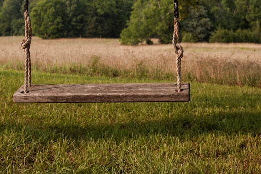 A swing hanging in a field with a tree in the background photo
