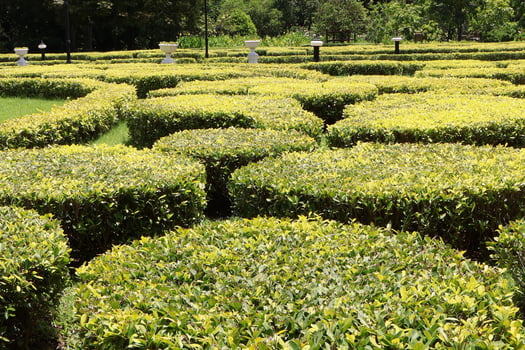 Thailand garden decoration in bangkok beauty nature photo