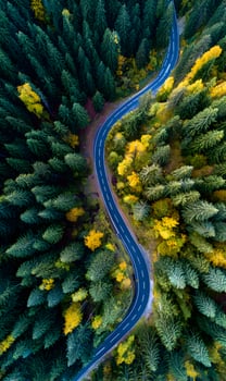 Winding Road Through Vibrant Forest A Serene Journey Amidst Nature's Lush Beauty Captured from Above photo