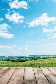 Sunny field with blue sky backdrop, wooden platform floor. For presentations photo