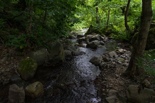 A small river in the forest between the stones, Georgia photo