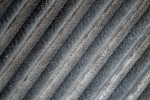 Magpie feather microphotograph photo