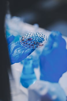 A person in a lab coat holding a plate with blue liquid photo