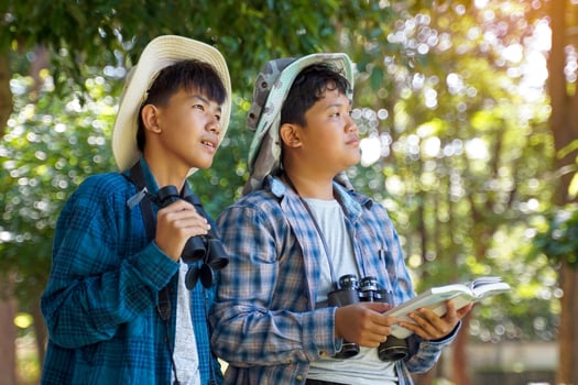 Asian boys use binoculars to study the local birds in a community forest. Soft and selective focus. photo