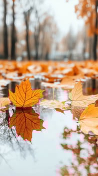 Autumn leaves float on water surface. Fallen yellow foliage reflection in puddle. Trees in background. Peaceful fall season scenic. photo