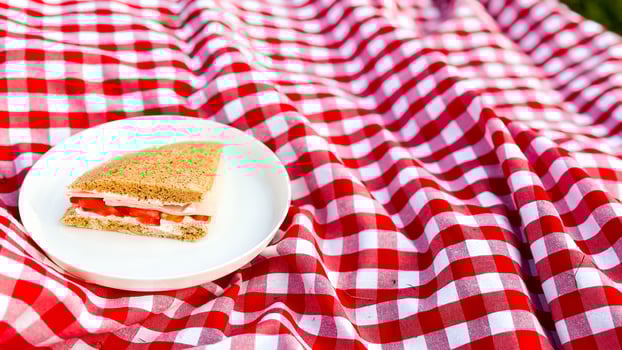 Simple sandwich on checkered tablecloth at outdoor picnic setting photo