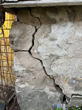 photo, natural texture, natural background photo
