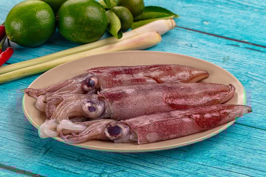 A plate of squid on a table with some limes photo